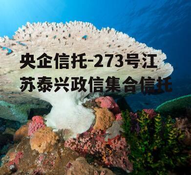 央企信托-273号江苏泰兴政信集合信托