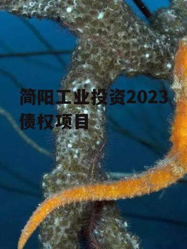 简阳工业投资2023债权项目