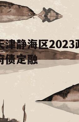 天津静海区2023政府债定融