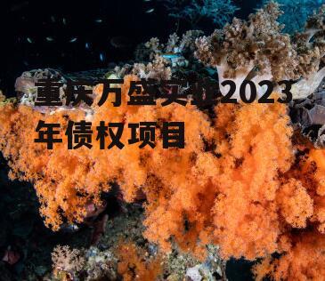 重庆万盛实业2023年债权项目