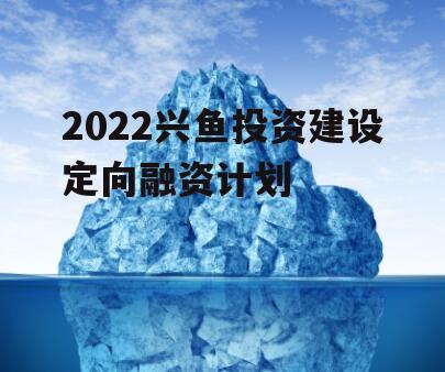 2022兴鱼投资建设定向融资计划