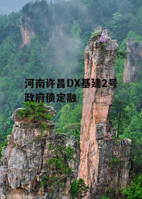 河南许昌DX基建2号政府债定融