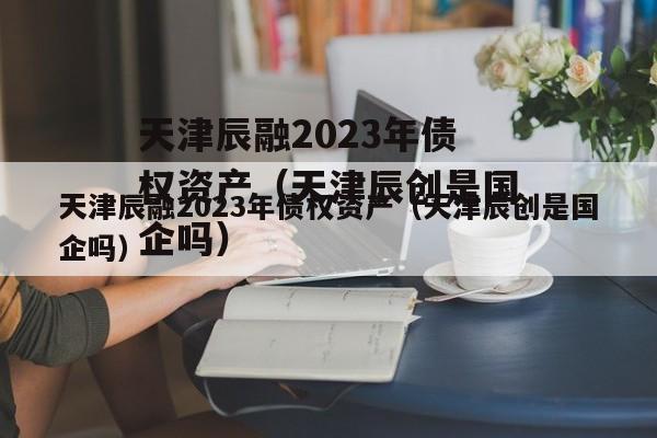 天津辰融2023年债权资产（天津辰创是国企吗）