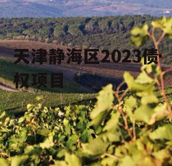 天津静海区2023债权项目