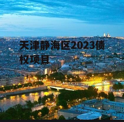 天津静海区2023债权项目