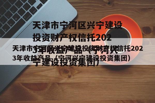 天津市宁河区兴宁建设投资财产权信托2023年收益产品（宁河兴宁建设投资集团）