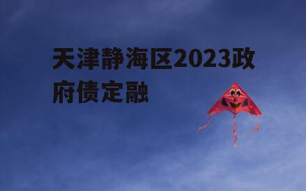 天津静海区2023政府债定融