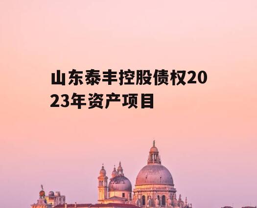 山东泰丰控股债权2023年资产项目