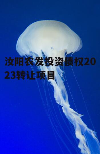 汝阳农发投资债权2023转让项目