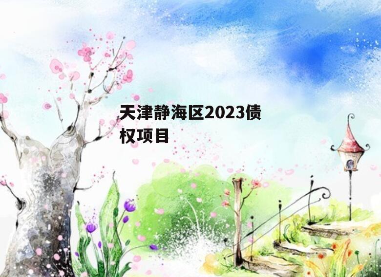 天津静海区2023债权项目