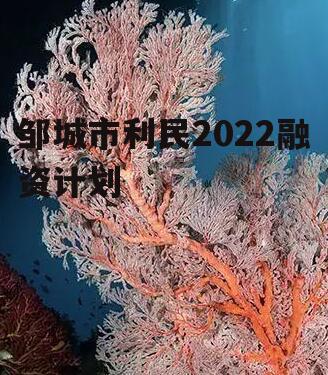 邹城市利民2022融资计划