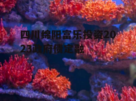 四川绵阳富乐投资2023政府债定融