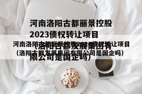 河南洛阳古都丽景控股2023债权转让项目（洛阳古都发展集团有限公司是国企吗）