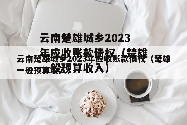 云南楚雄城乡2023年应收账款债权（楚雄一般预算收入）