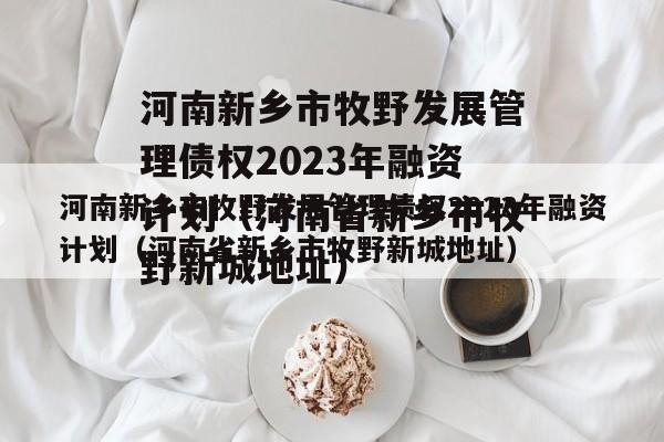 河南新乡市牧野发展管理债权2023年融资计划（河南省新乡市牧野新城地址）