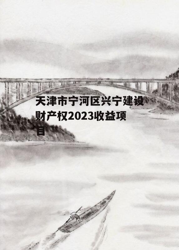 天津市宁河区兴宁建设财产权2023收益项目