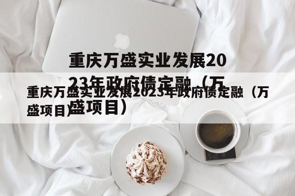 重庆万盛实业发展2023年政府债定融（万盛项目）