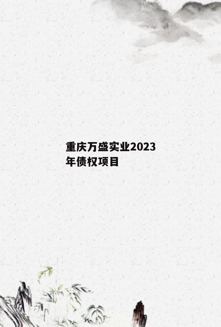 重庆万盛实业2023年债权项目