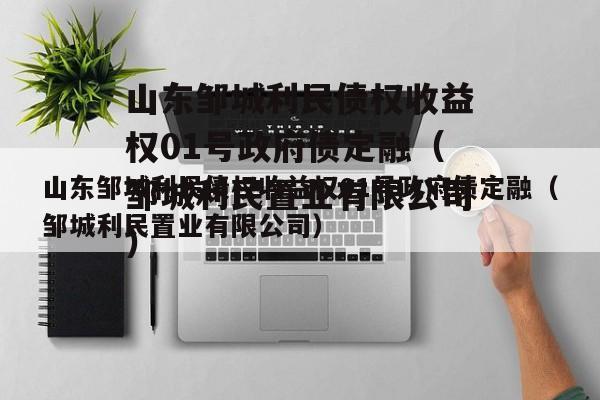 山东邹城利民债权收益权01号政府债定融（邹城利民置业有限公司）