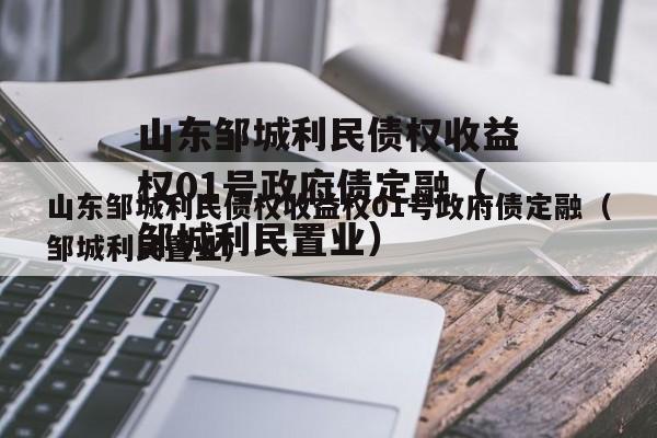 山东邹城利民债权收益权01号政府债定融（邹城利民置业）