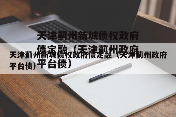 天津蓟州新城债权政府债定融（天津蓟州政府平台债）