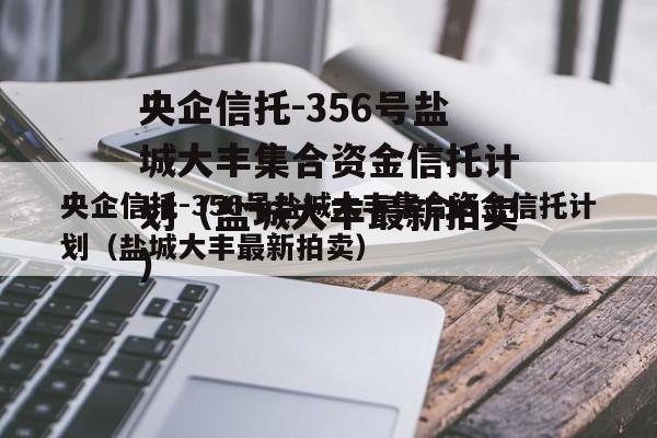 央企信托-356号盐城大丰集合资金信托计划（盐城大丰最新拍卖）