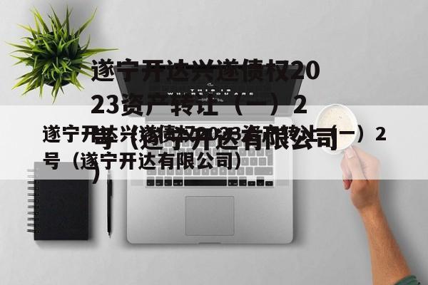 遂宁开达兴遂债权2023资产转让（一）2号（遂宁开达有限公司）