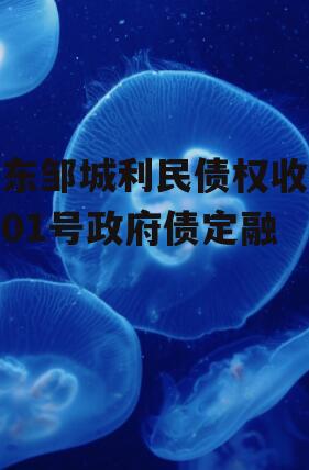 山东邹城利民债权收益权01号政府债定融