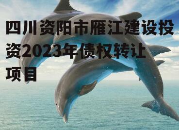 四川资阳市雁江建设投资2023年债权转让项目