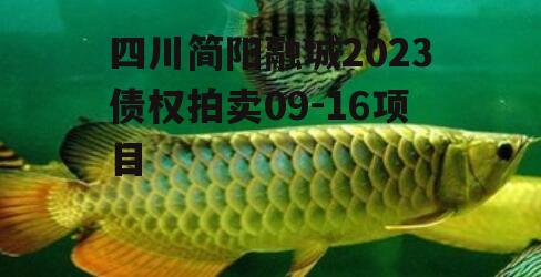 四川简阳融城2023债权拍卖09-16项目