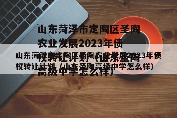 山东菏泽市定陶区圣陶农业发展2023年债权转让计划（山东圣陶高级中学怎么样）