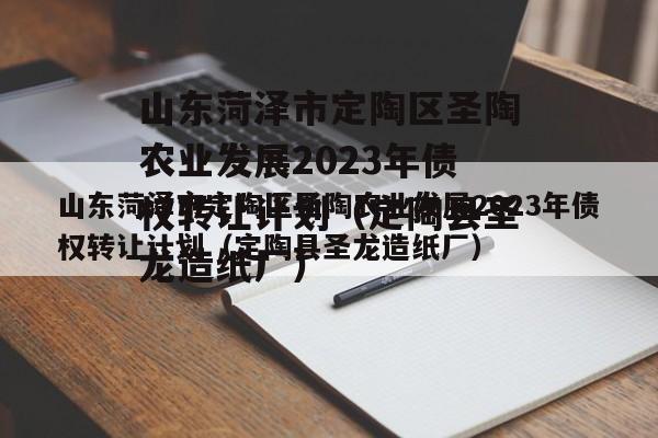 山东菏泽市定陶区圣陶农业发展2023年债权转让计划（定陶县圣龙造纸厂）