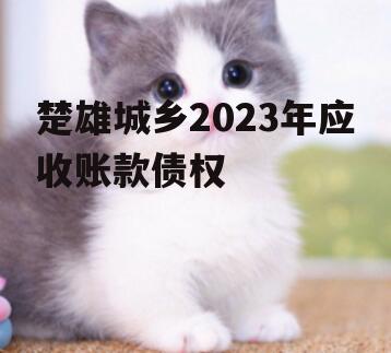 楚雄城乡2023年应收账款债权