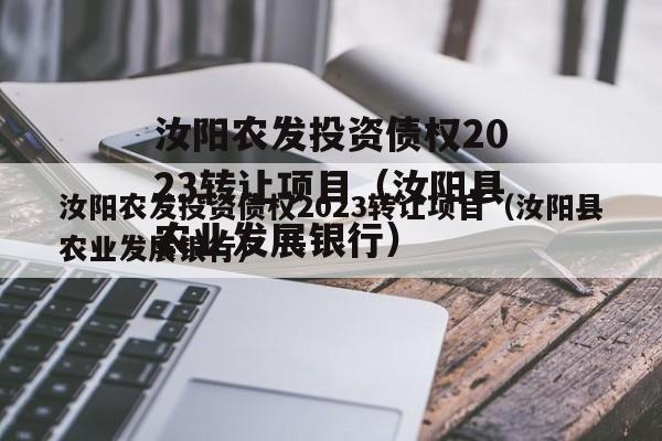 汝阳农发投资债权2023转让项目（汝阳县农业发展银行）