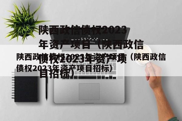 陕西政信债权2023年资产项目（陕西政信债权2023年资产项目招标）