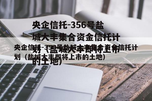 央企信托-356号盐城大丰集合资金信托计划（盐城大丰即将上市的土地）