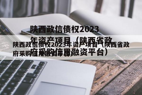 陕西政信债权2023年资产项目（陕西省政府采购信用融资平台）