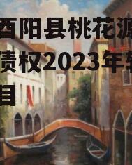 重庆酉阳县桃花源旅游投资债权2023年转让项目