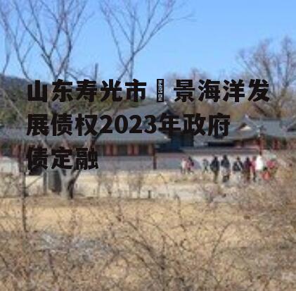 山东寿光市昇景海洋发展债权2023年政府债定融