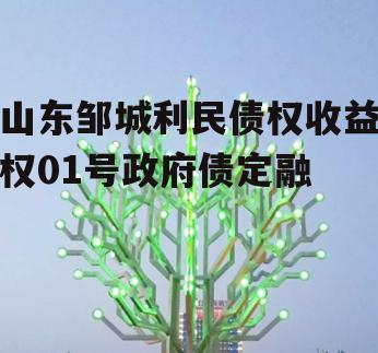 山东邹城利民债权收益权01号政府债定融