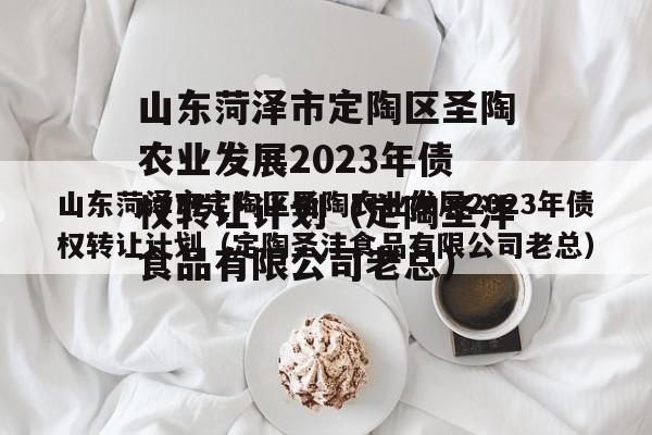 山东菏泽市定陶区圣陶农业发展2023年债权转让计划（定陶圣沣食品有限公司老总）