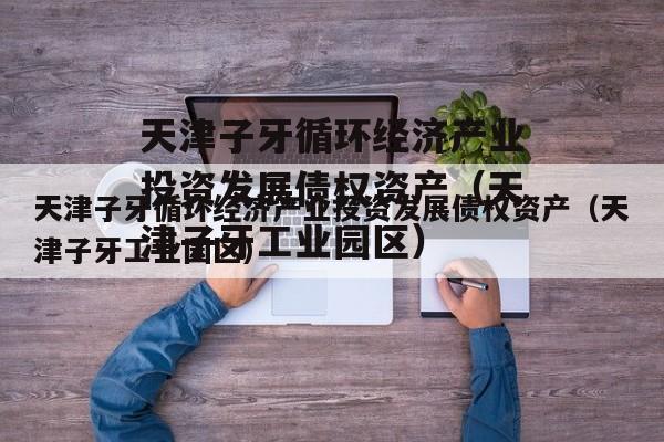 天津子牙循环经济产业投资发展债权资产（天津子牙工业园区）