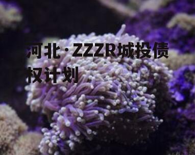 河北·ZZZR城投债权计划