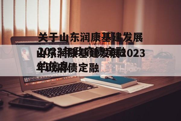 关于山东润康基建发展2023年政府债定融的信息