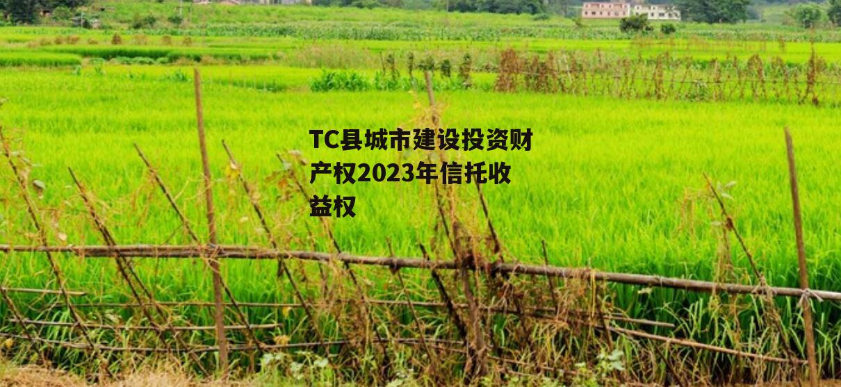 TC县城市建设投资财产权2023年信托收益权