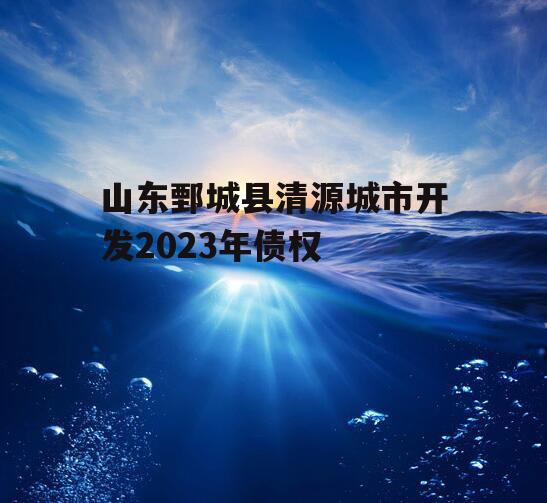 山东鄄城县清源城市开发2023年债权