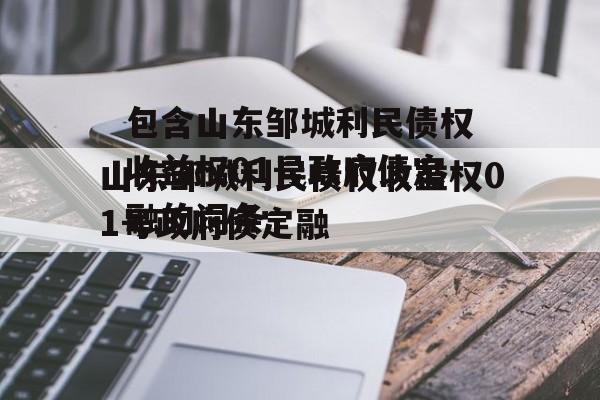 包含山东邹城利民债权收益权01号政府债定融的词条