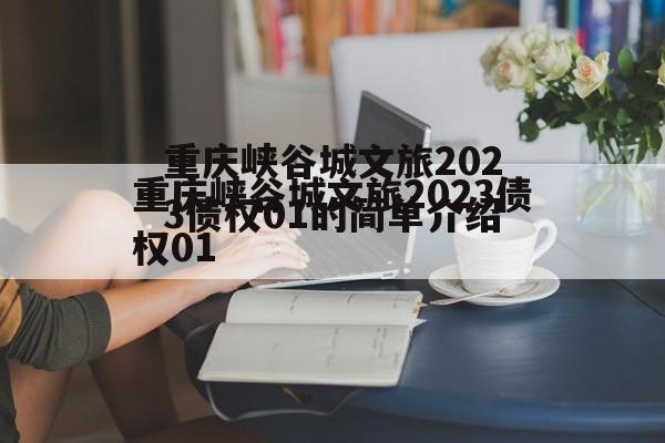 重庆峡谷城文旅2023债权01的简单介绍