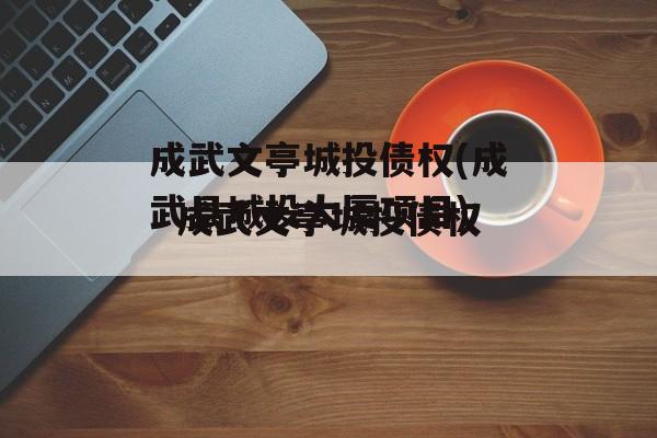 成武文亭城投债权(成武县城投大厦项目)