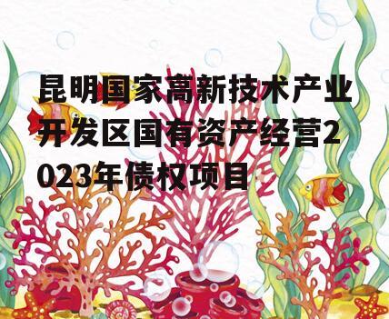 昆明国家高新技术产业开发区国有资产经营2023年债权项目